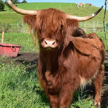 Apartment Teisenbergblick *