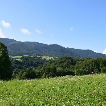Teisenbergblick